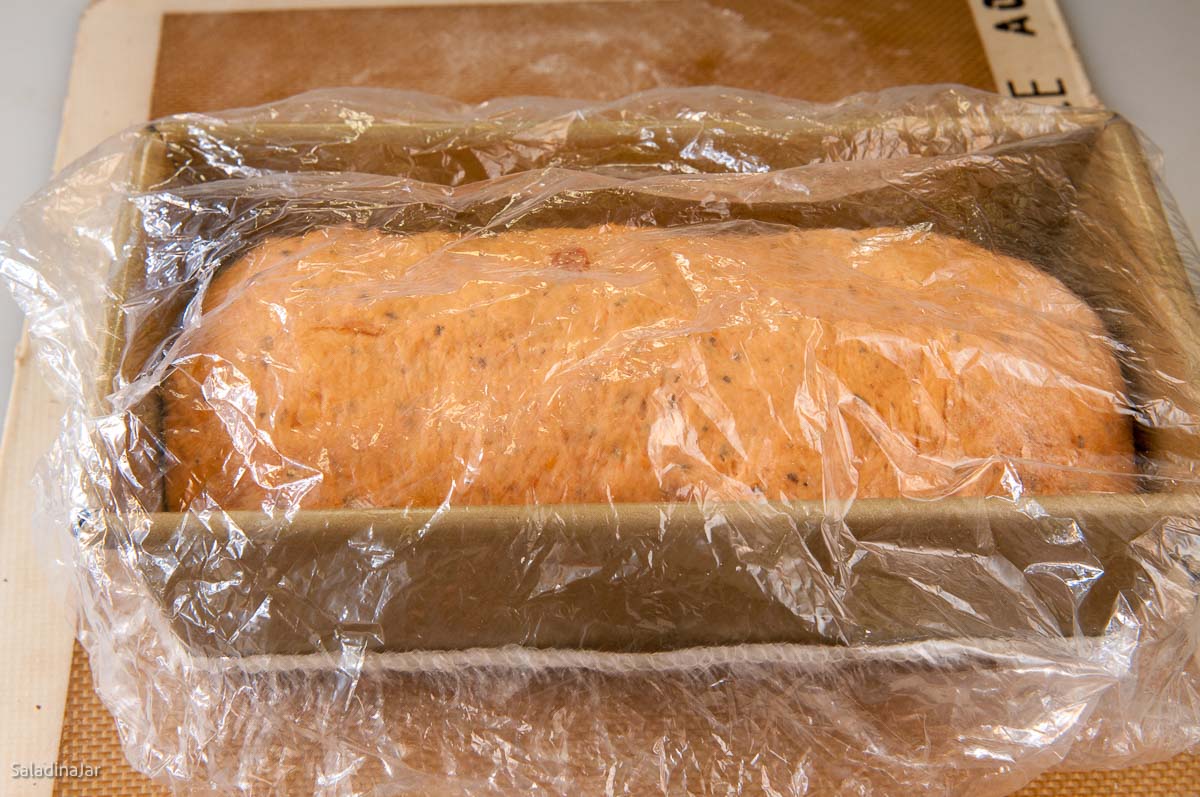 covering loaf with cheap shower cap for last proof.