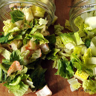 two jars of open lettuce: the one on the left was unsealed; the one on the right was vacuum-packed and no brown edges are seen.