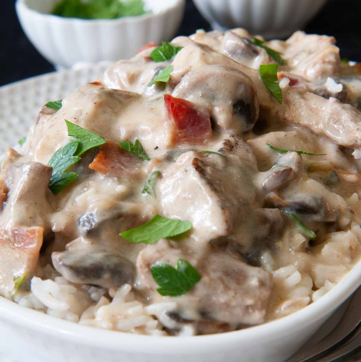 pork stroganoff served over rice