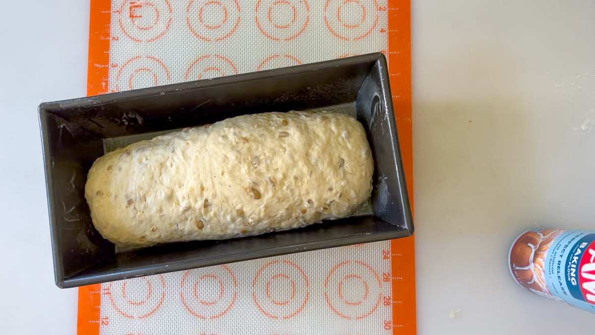 raw shaped dough inside bread pan