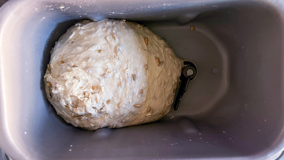 dough during the first rise inside the bread machine.
