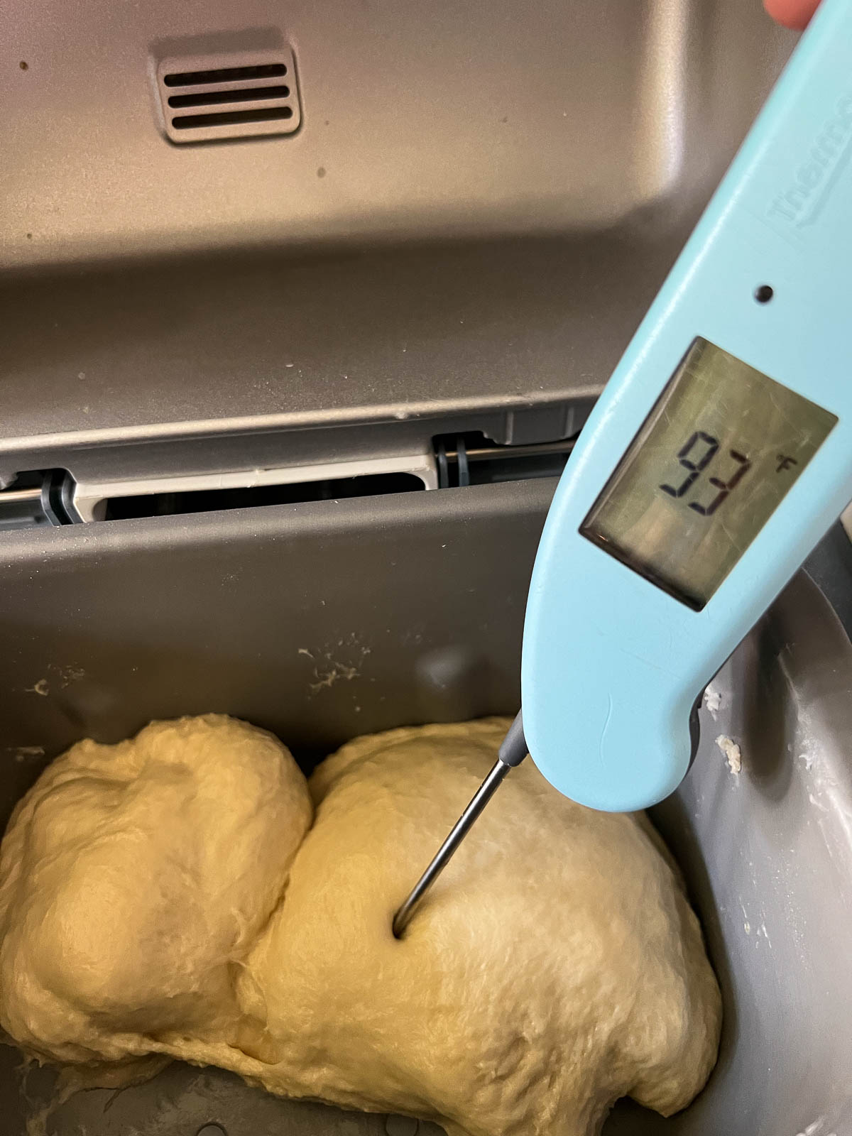 checking the temp of dough after kneading in bread maker