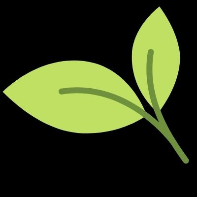 image of a leaf