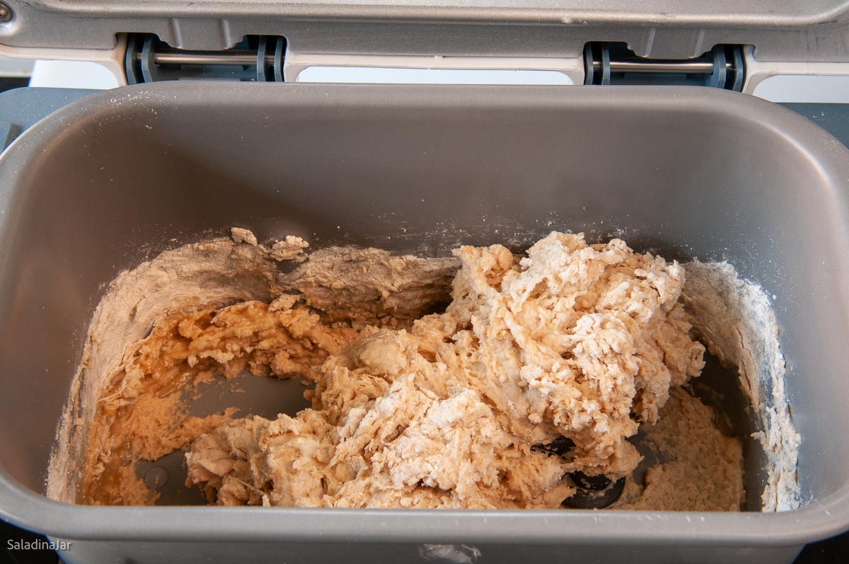 clumpy dough in the bread machine in the first minute of mixing.
