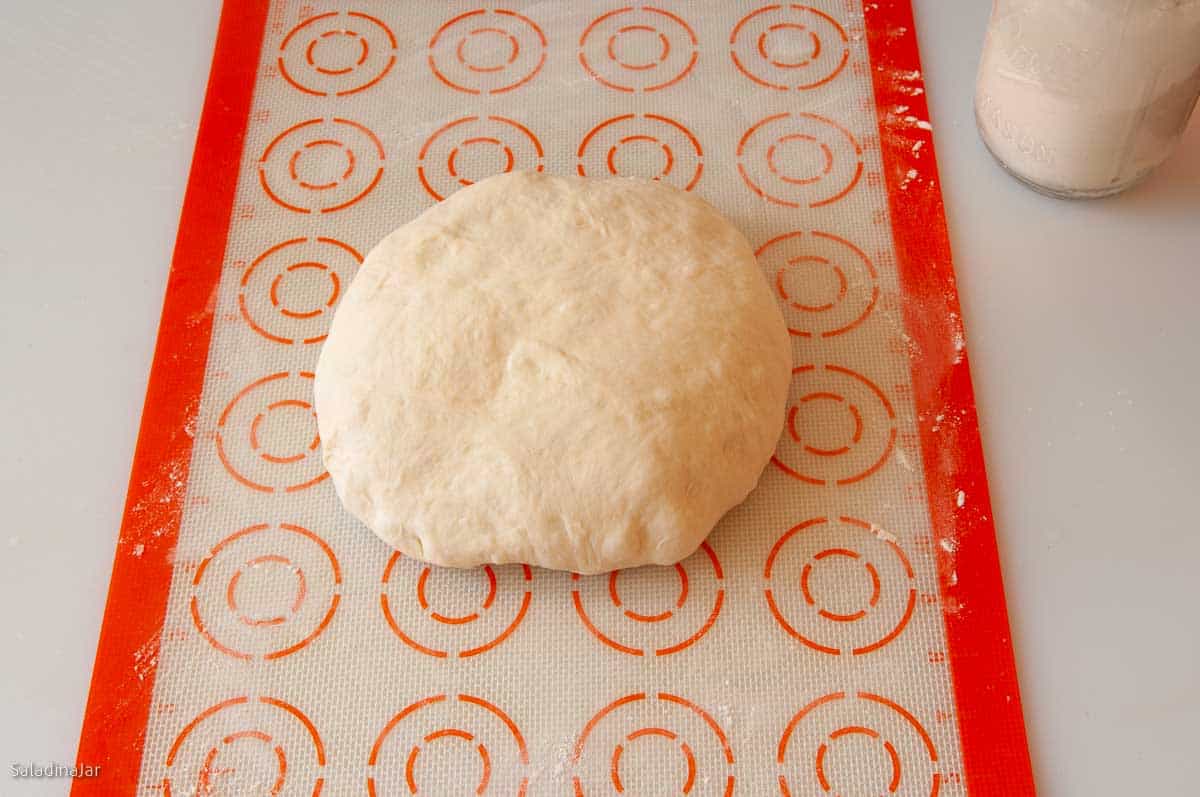 shaping the dough into a flat ball.
