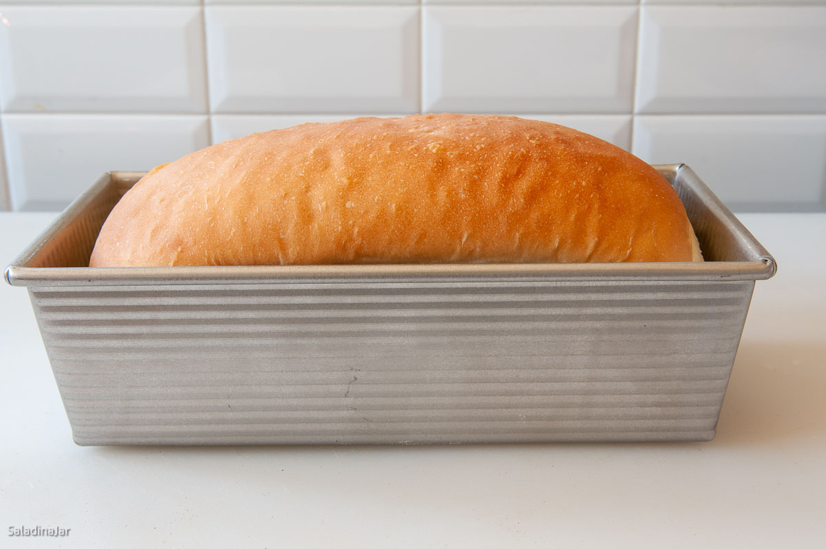 baked bread cooling in loaf pan for only a few minutes.