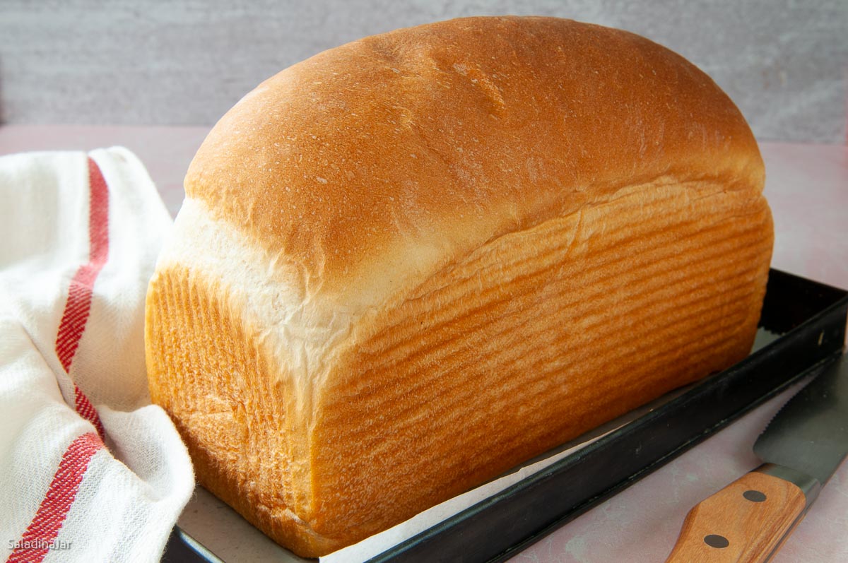 basic white loaf for a bread machine