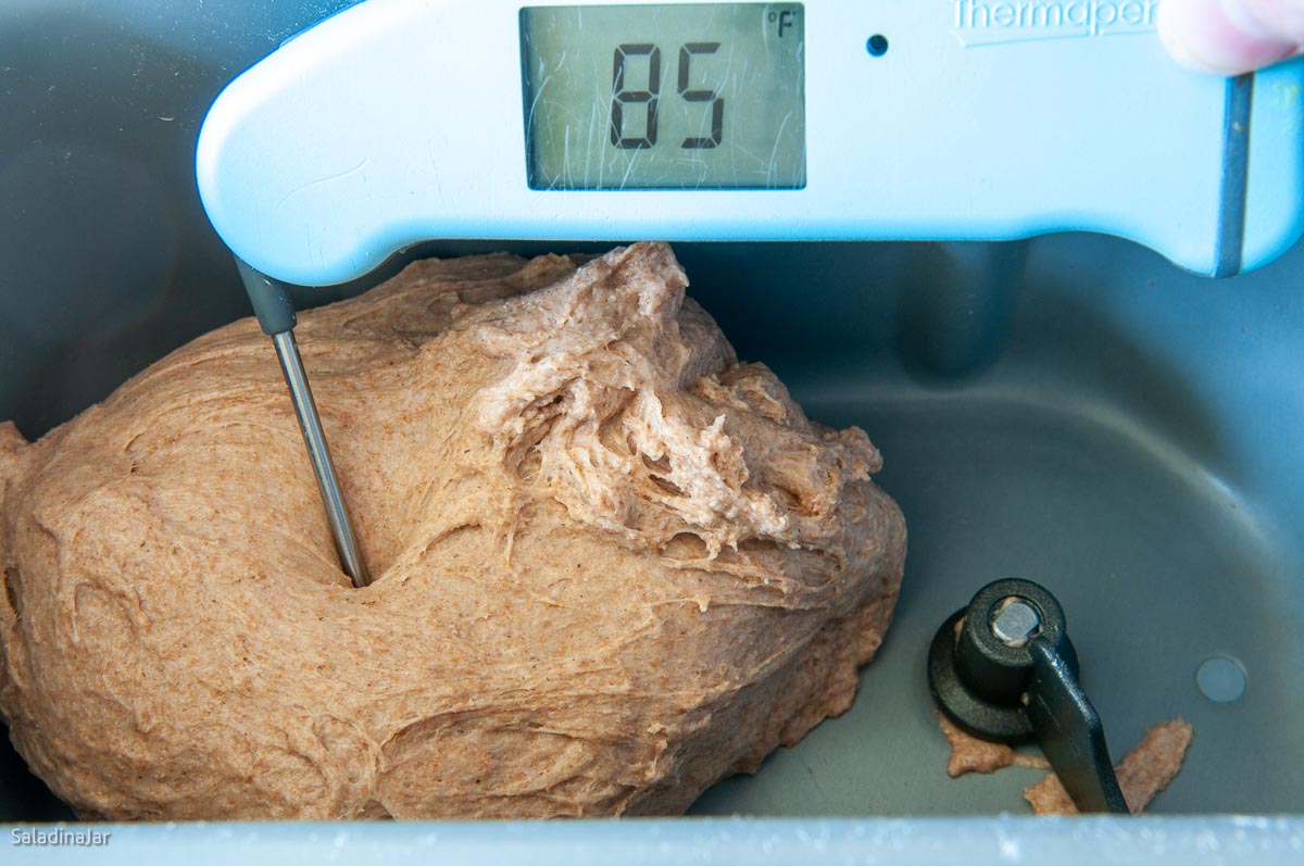 taking the temp of dough after the kneading phase