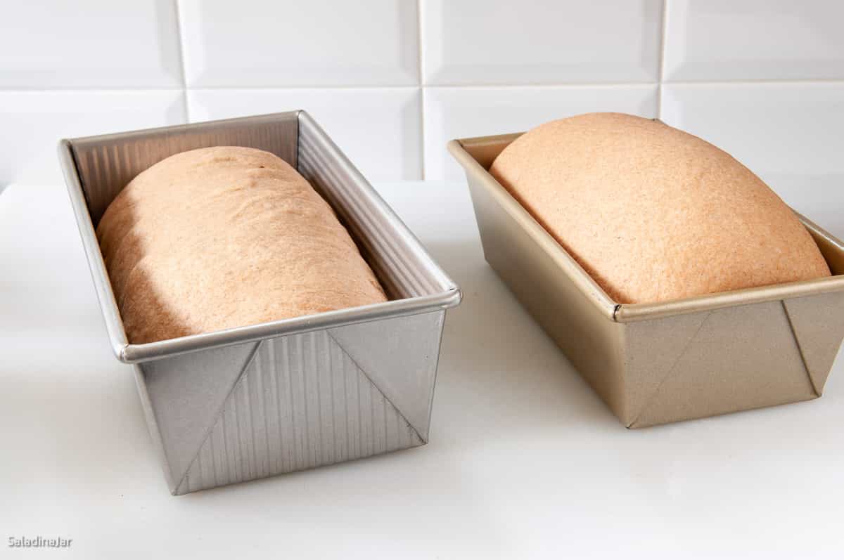 comparing in different size pans.