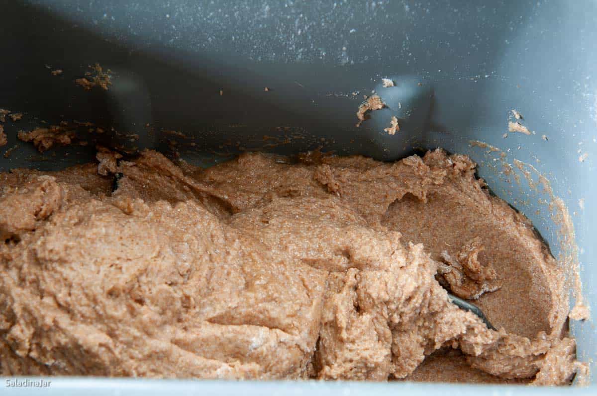 initial mixing of the dough