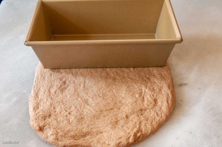 Outstanding Bread Machine Whole Wheat Bread with No White Flour