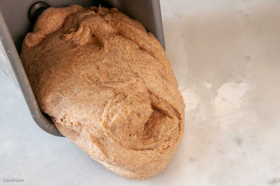 Outstanding Bread Machine Whole Wheat Bread with No White Flour