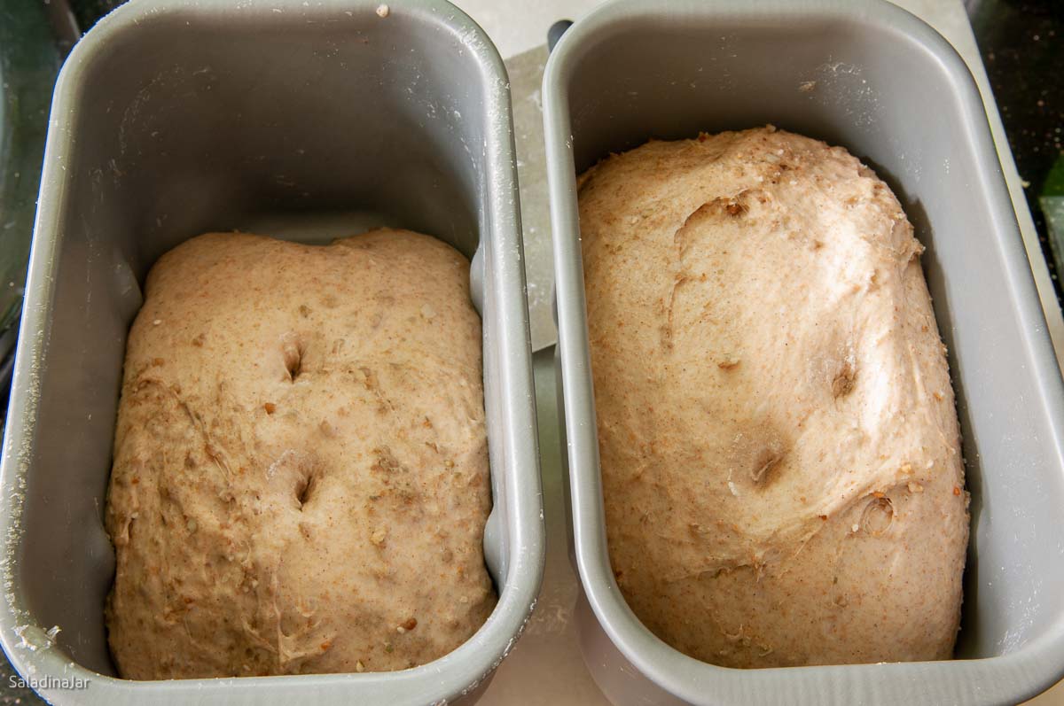 bread dough inside of a bread machine pan at the end of the DOUGH cycle