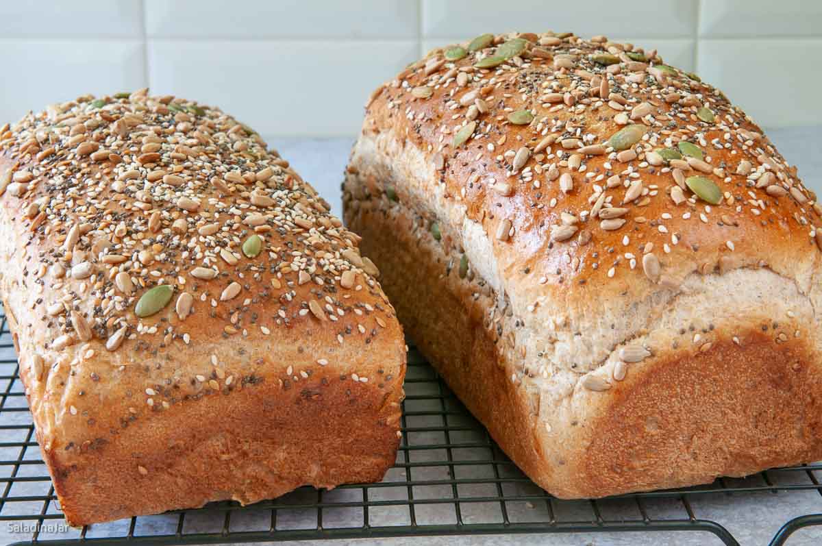  Comparing baked loaves of Seeded Wheat Bread using two different types of yeast.