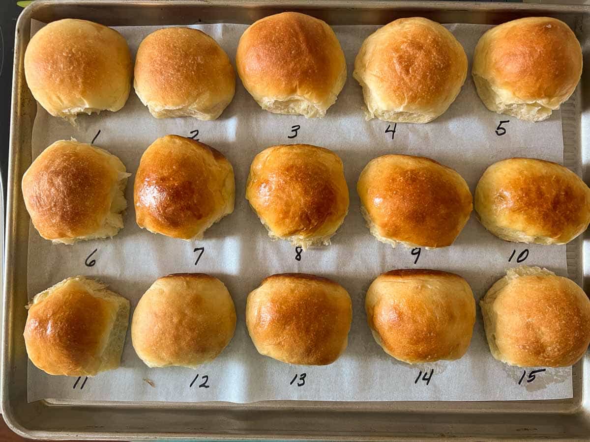 baking tray of dinner rolls illustrating various glazes or washes