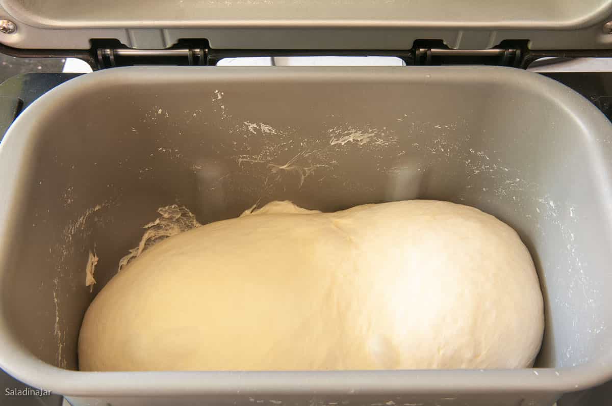 Dough at the end of the DOUGH cycle.