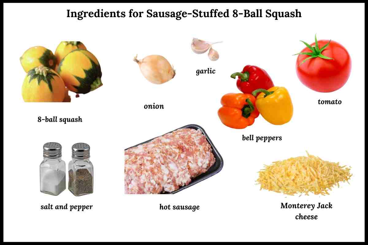 ingredients need for this recipe.