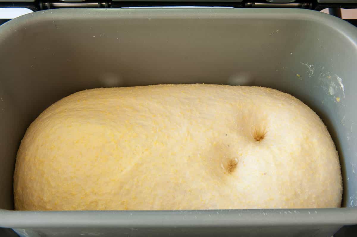 dough at the end of the DOUGH cycle, ready to pull out of the pan