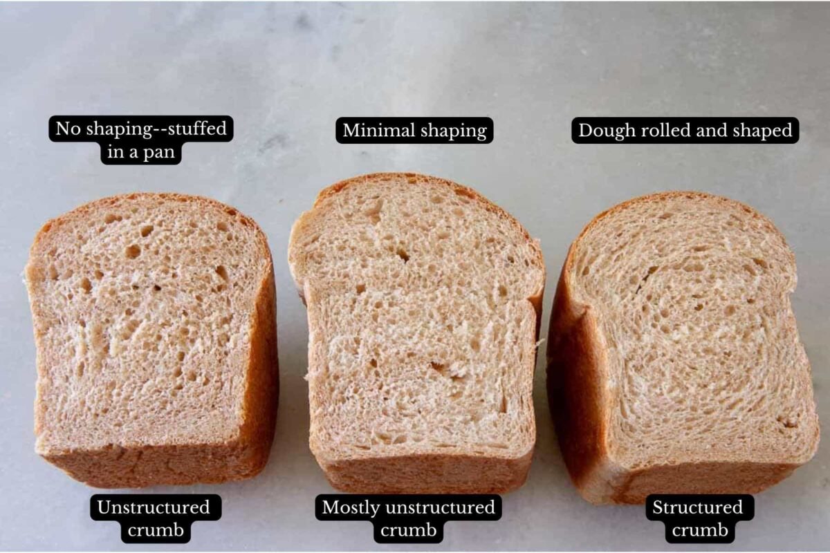 Comparing the crumb of 3 loaves with various amounts of shaping.