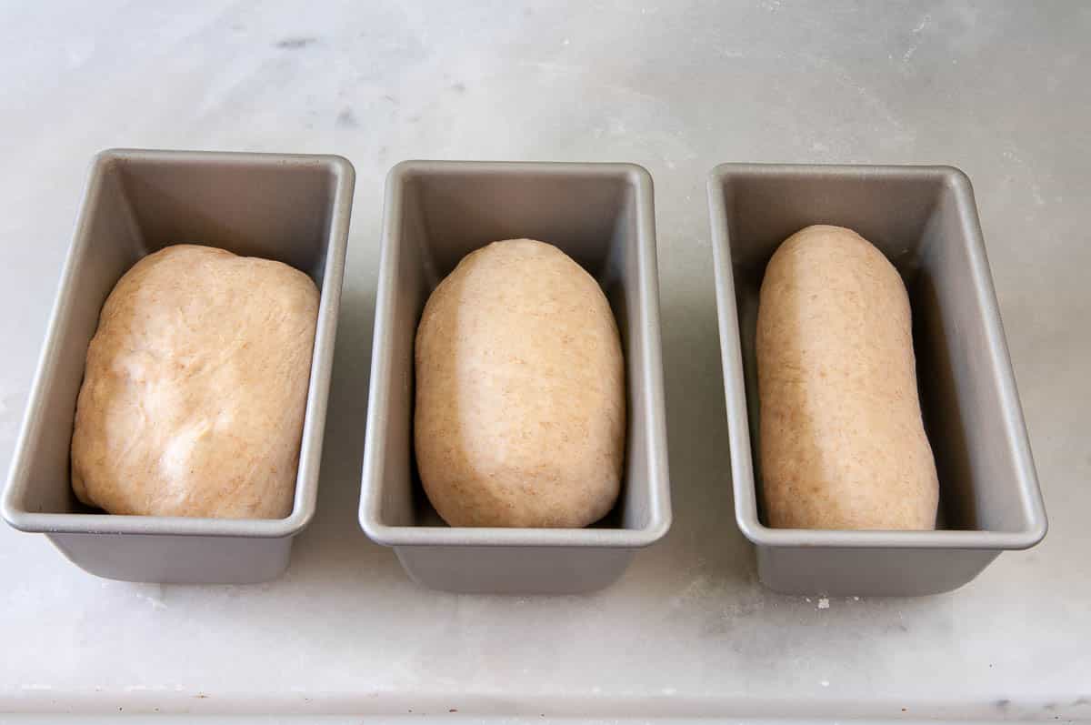 Three loaves: one unshaped, one partially shaped, and one shaped are shown in bread pans.