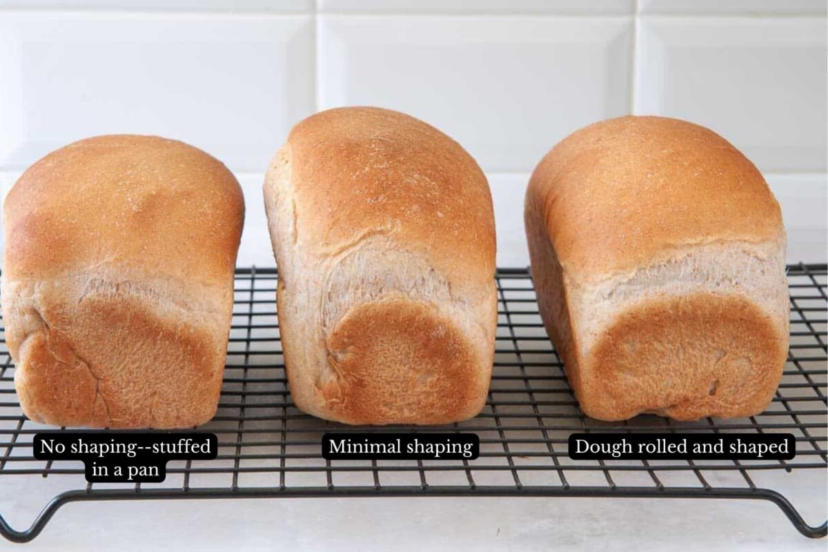 comparison of bread loaves: Left to right: unshaped, partially shaped and correctly shaped. The shaped loaf on the right has the best shape and open spring.
