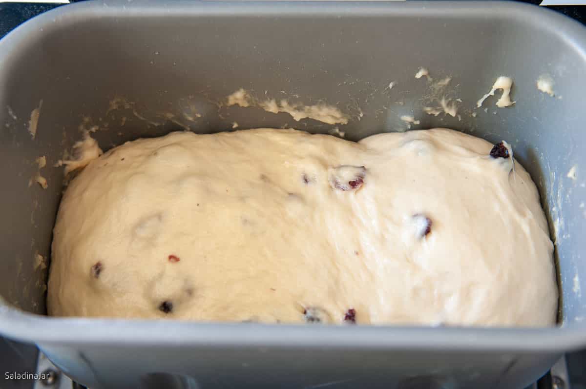 what the dough looks like at the end of the DOUGH cycle.