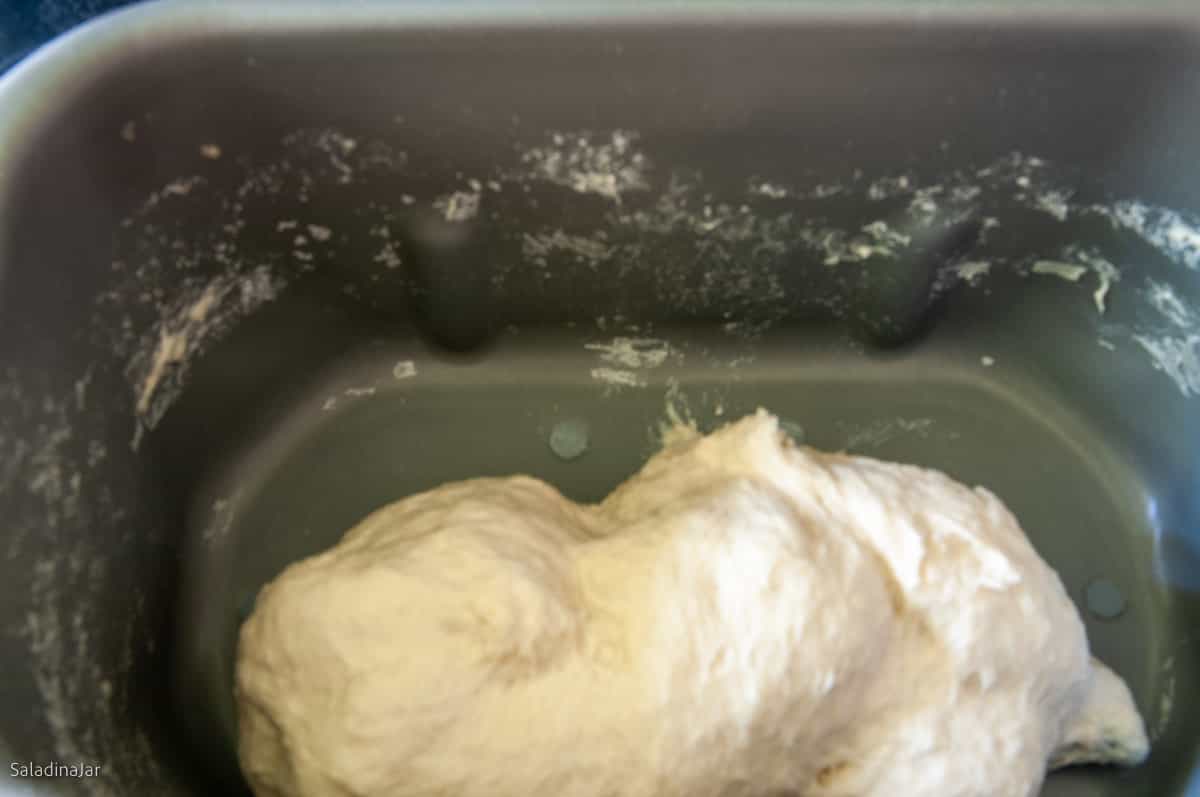 dough should become smooth and elastic as the kneading progresses