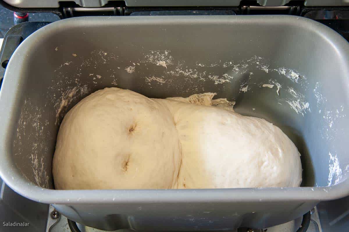 Dough should double in size by the end of the DOUGH cycle. Check with two floury fingers.