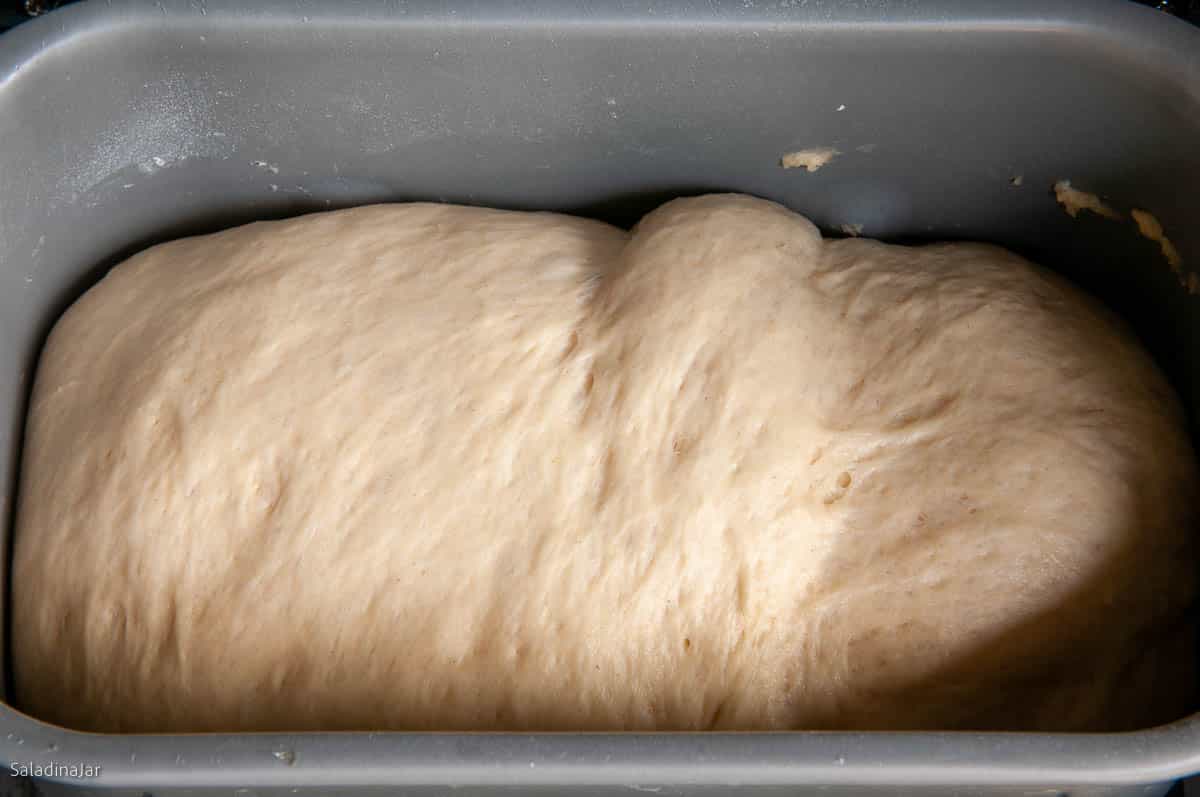 Dough has doubled in size inside the bread machine pan.