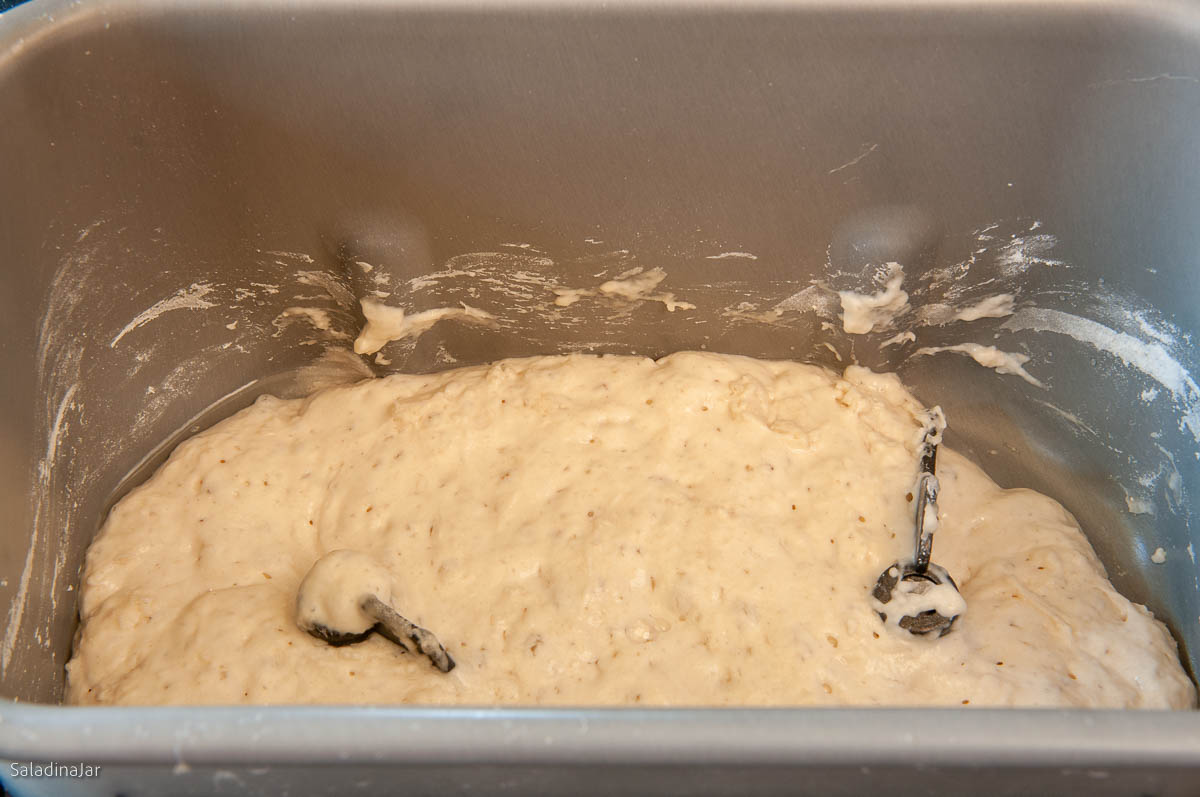 preferment after it has proofed for 4-8 hours.