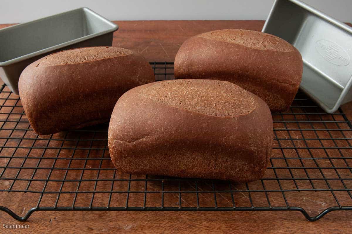 Three loaves on a cooling rack.