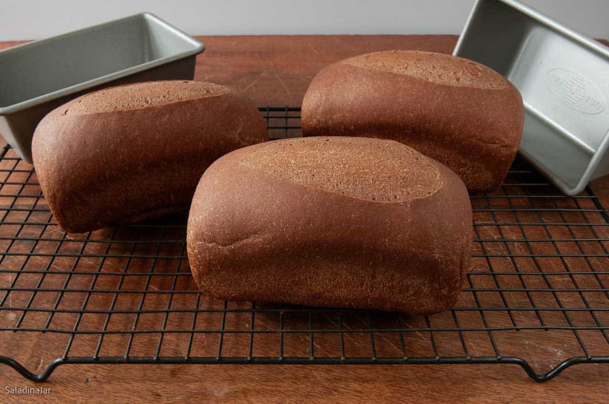 Easy Bread Machine Brown Bread: Steakhouse Style Without Rye