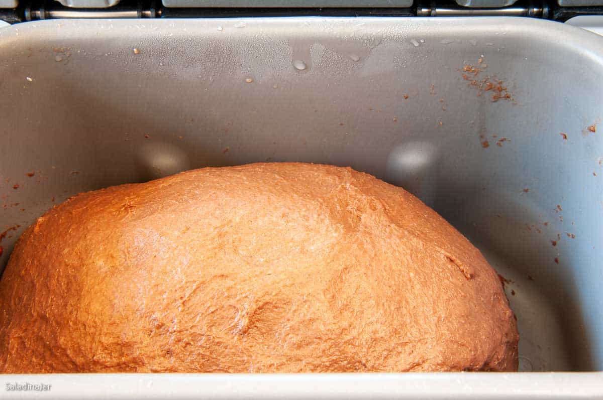 dough should be doubled in size at the end of the DOUGH cycle.