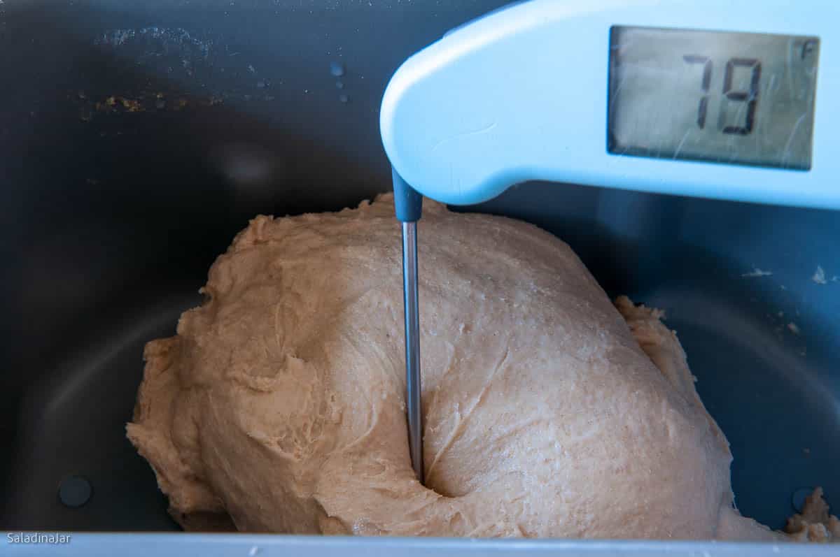using a quick-read thermometer to check the temperature of the dough after kneading in a bread machine.