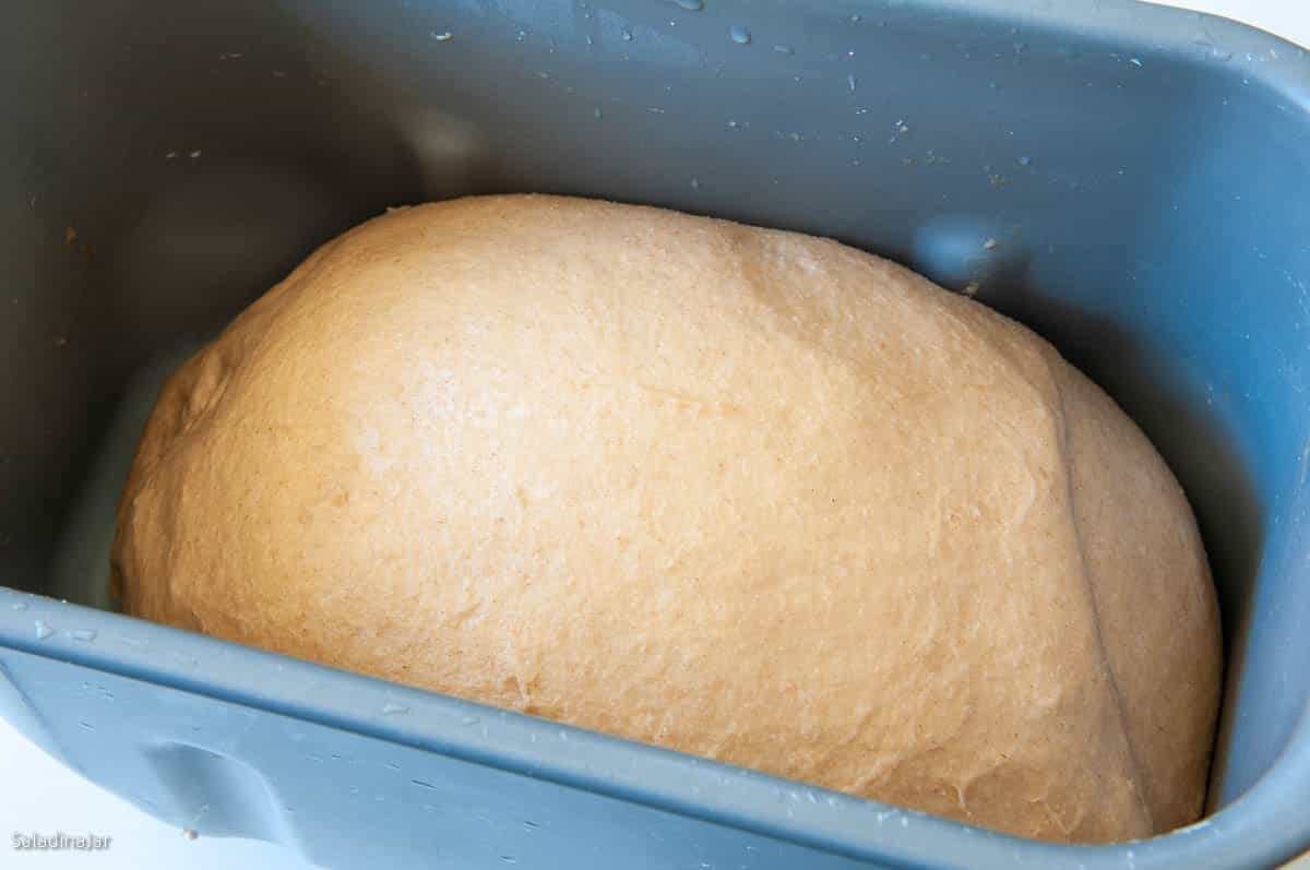 bread at the end of the DOUGH cycle after it has risen.