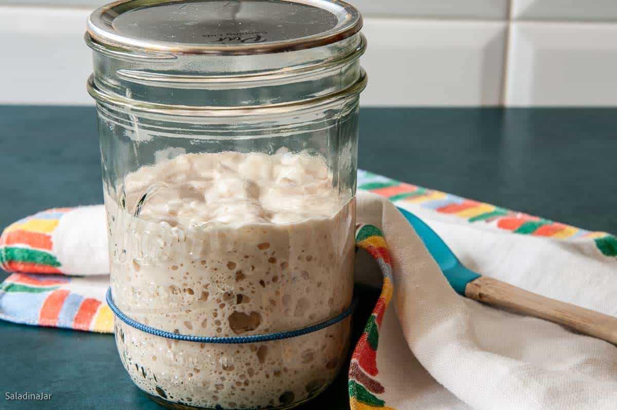 How to make a sourdough starter