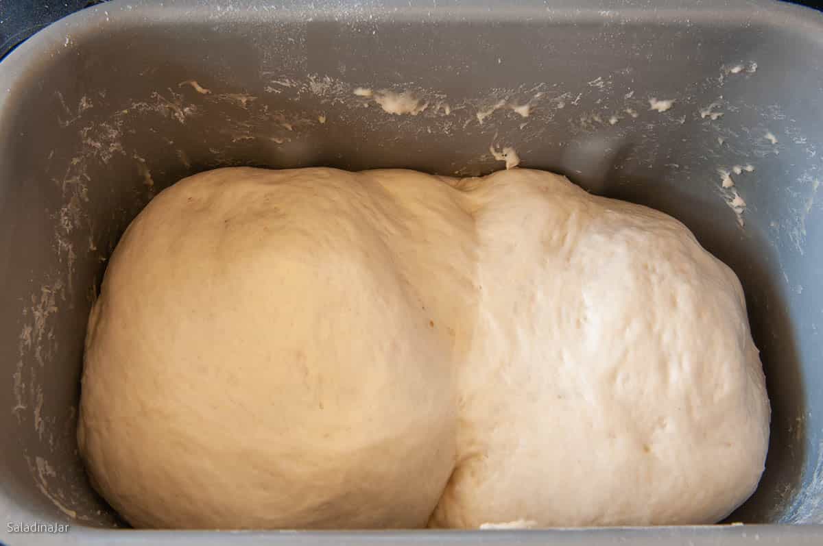 The dough should double in size during the DOUGH cycle.