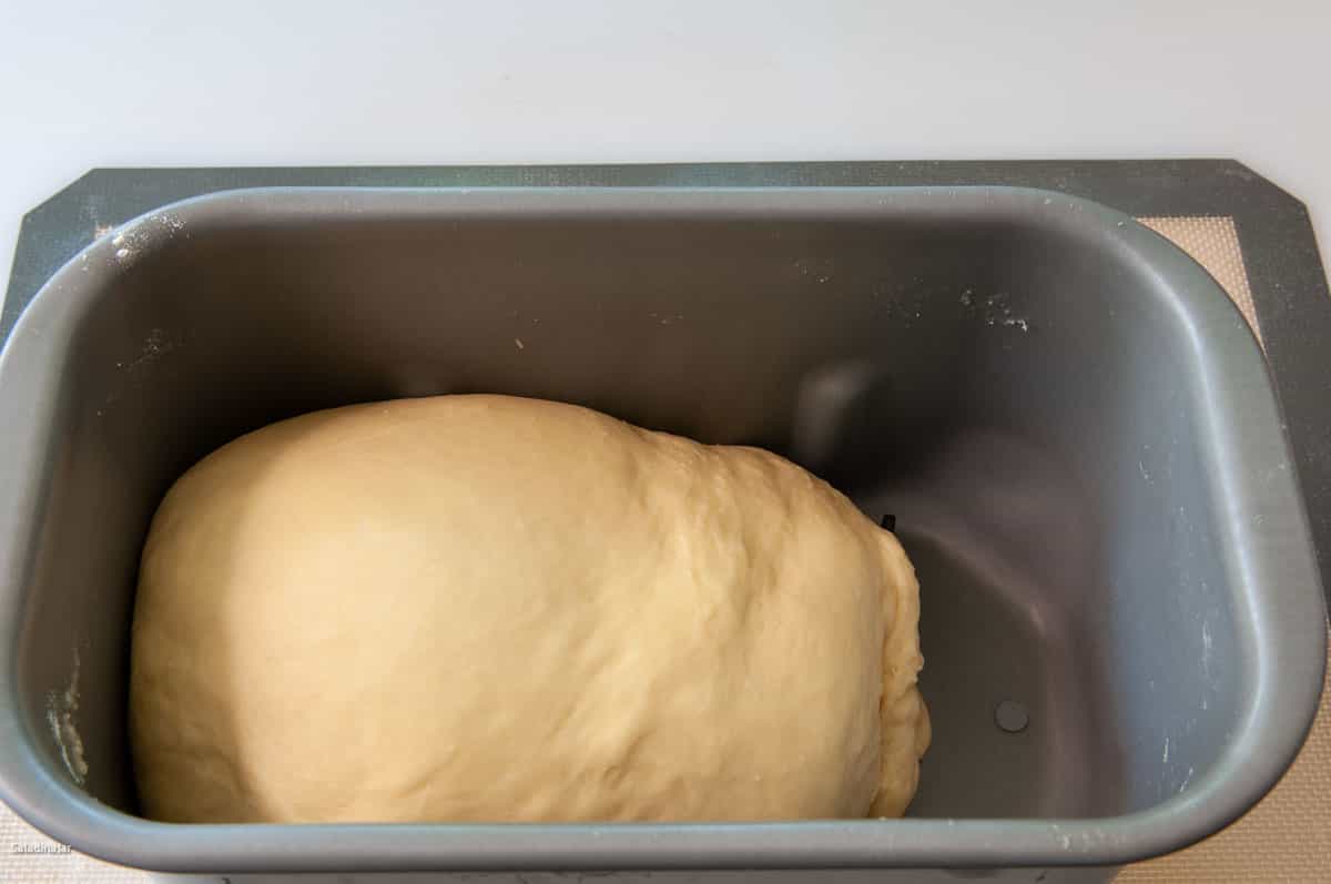 At the end of the DOUGH cycle, the dough should be full and puffy.