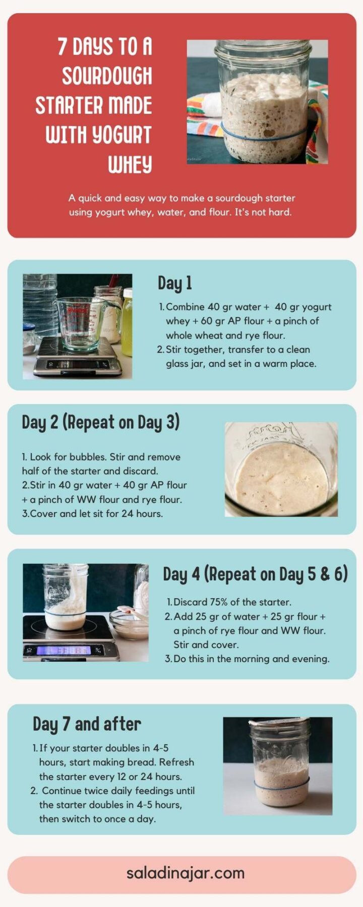 infographic about making a sourdough starter using yogurt whey.