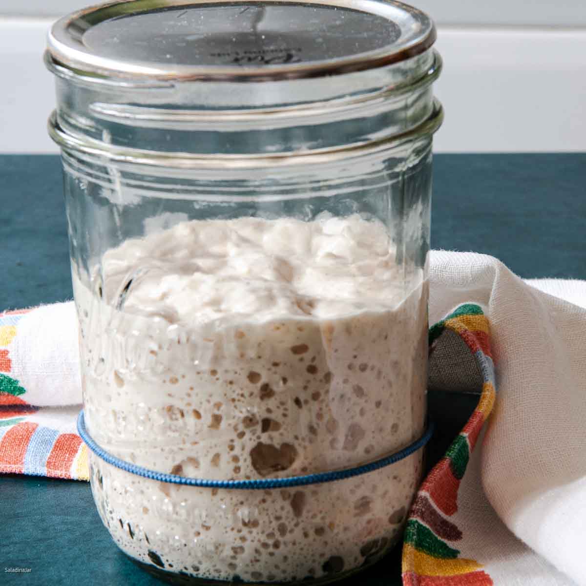 Easy Sourdough Starter Recipe Using Yogurt Whey