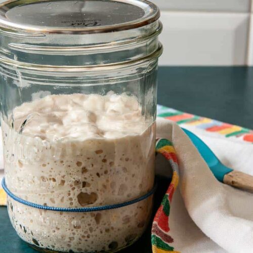 Ripe sourdough starter made with yogurt whey in a jar next to a kitchen towel.