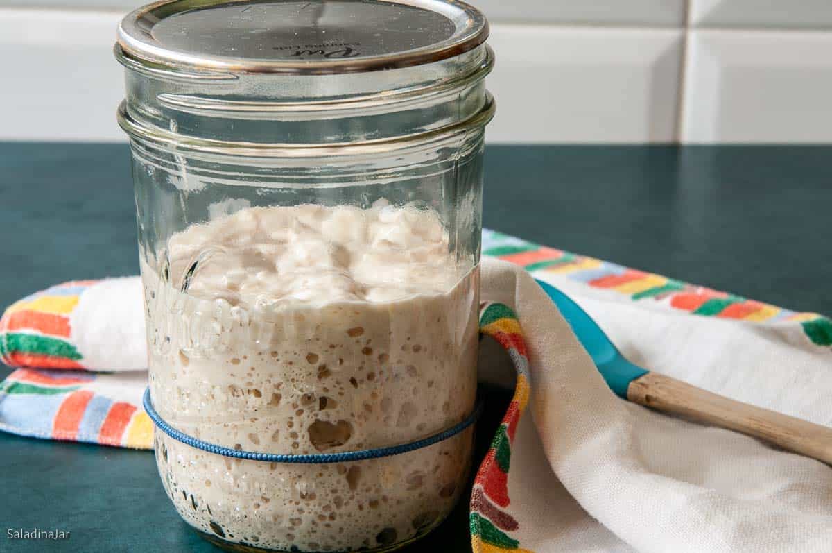 Ripe sourdough starter made with yogurt whey in a jar next to a kitchen towel.