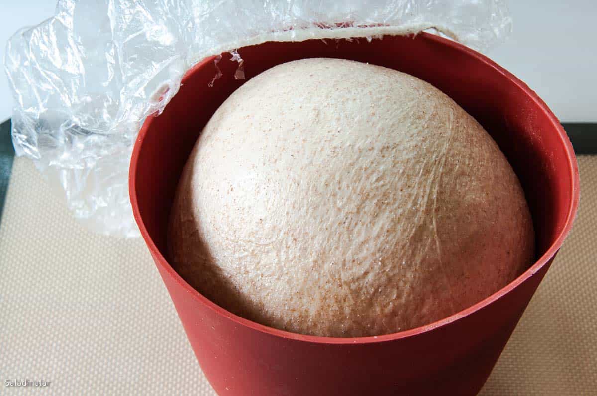 whole wheat dough that spent the night in the refrigerator to intensify the flavor.