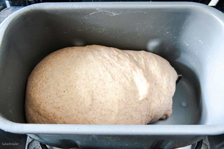 The Best Whole Wheat Pizza Dough for a Bread Machine
