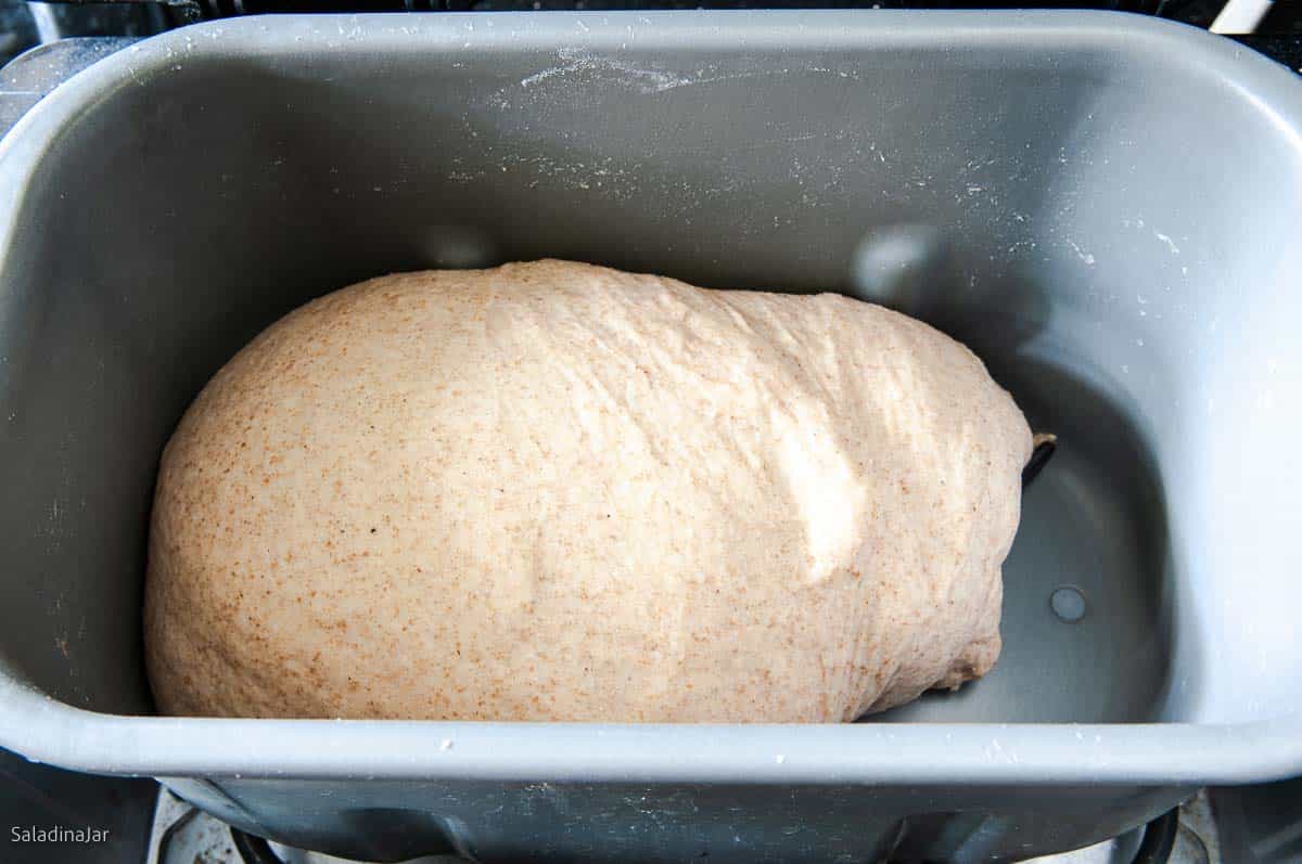 Dough at the end of the DOUGH cycle should be doubled in size.