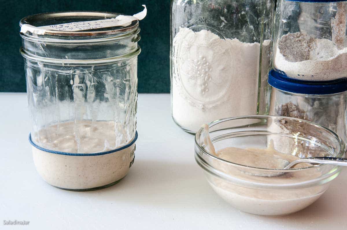 refreshing yogurt starter on Day 4.