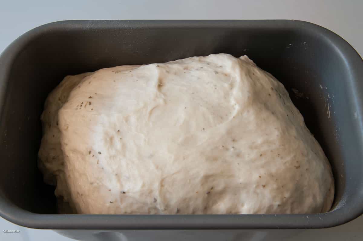 Dough doubled in size at the end of the kneading phase.