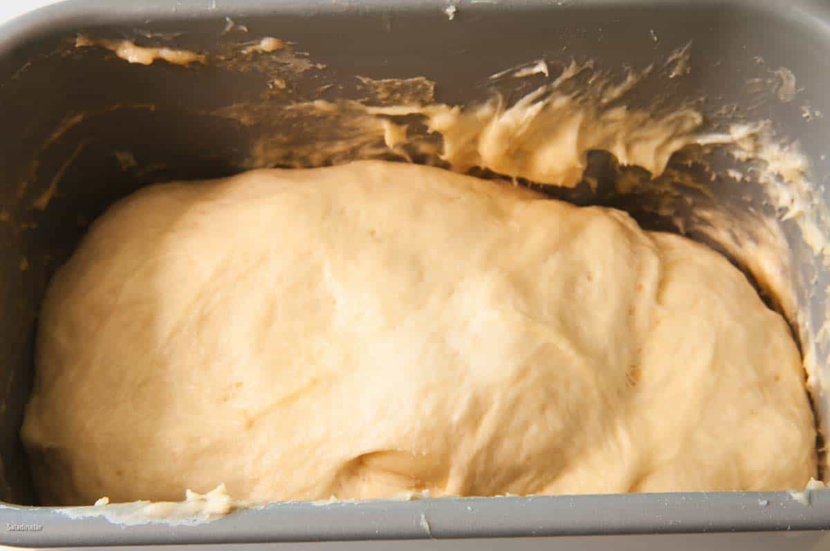 The dough should double in size as shown in this picture by the end of the DOUGH cycle.