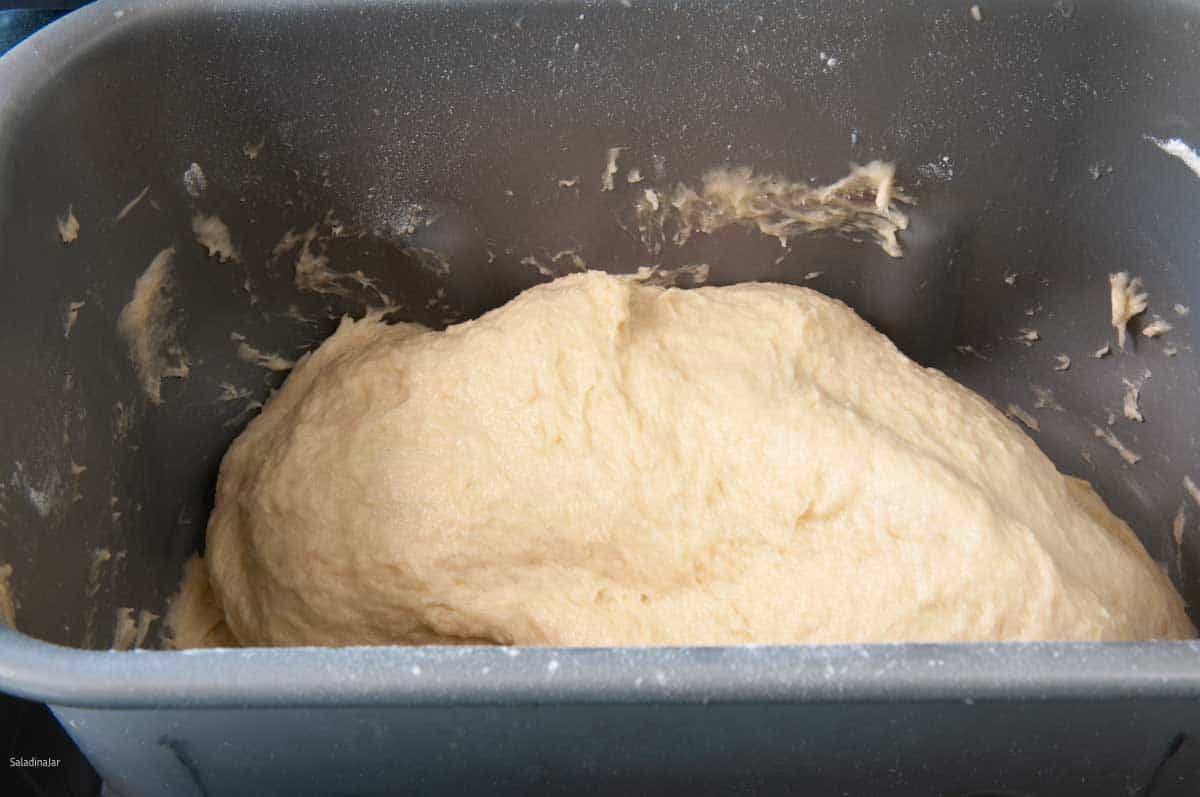 What the dough should look like at the end of the kneading phase.