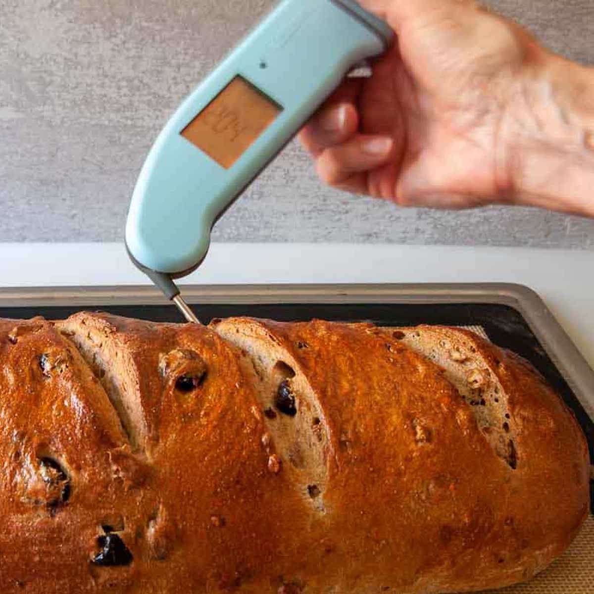 testing baked loaf for internal temperature